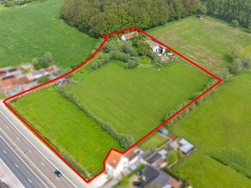 E2638557088853212504_29AL-5