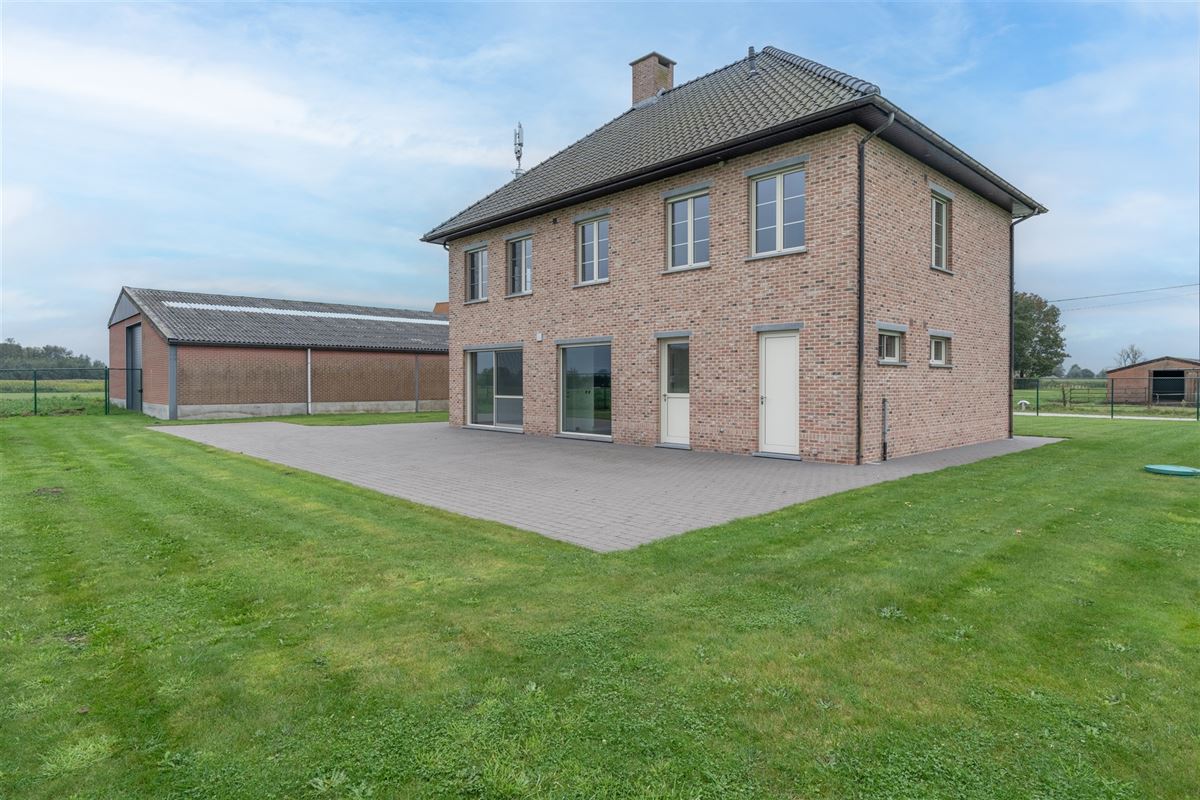 E2638640808388323389_50AL