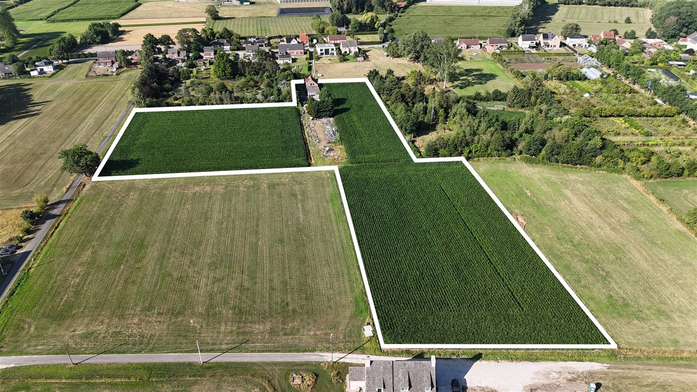 E2638881981208620750_62AL-5