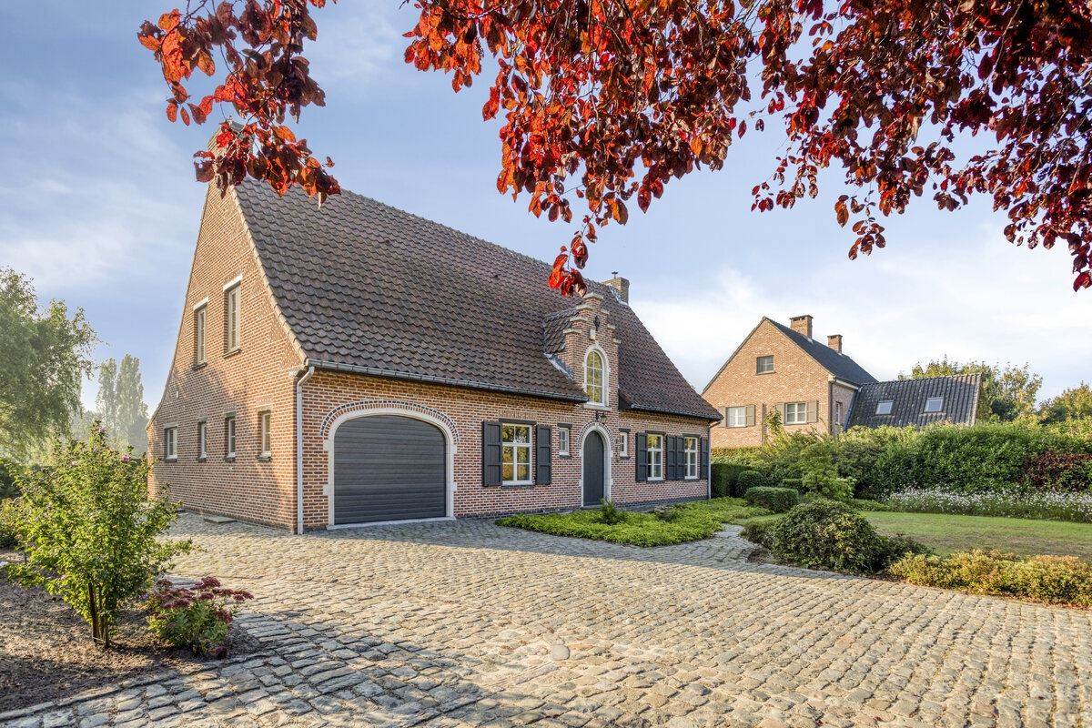 E3638977763640770081_83AL-5