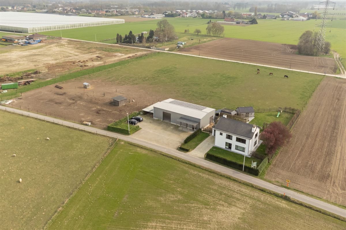 E1639108346519508352_97AL-2