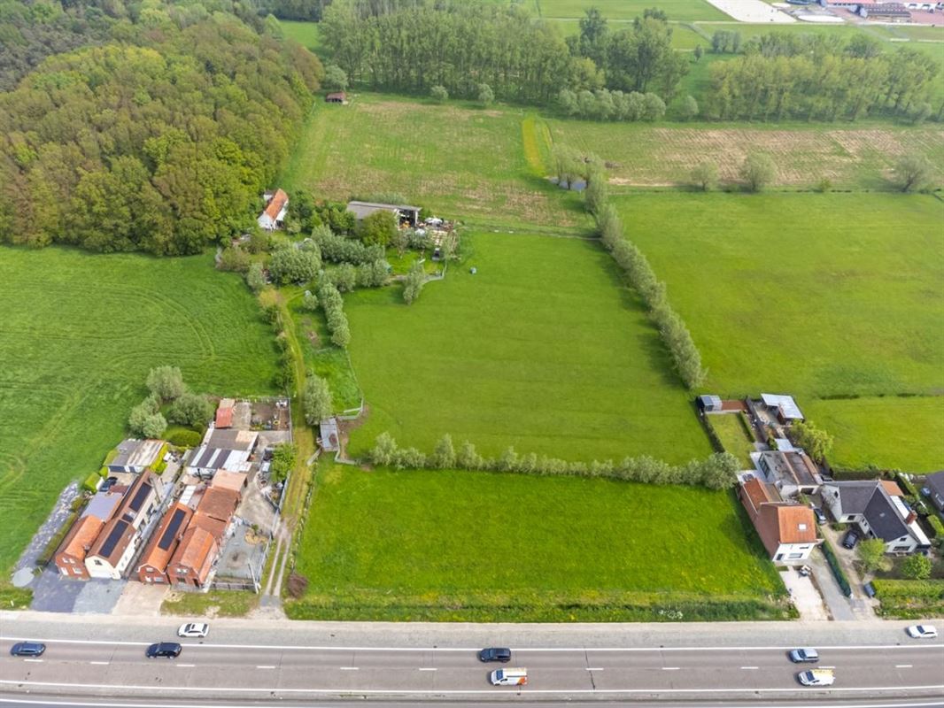 E2638557088853212504_29AL-1