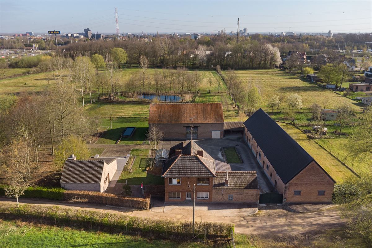 E3639109015379286552_98AL-2